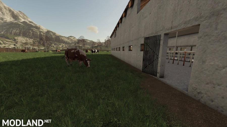 Polish Cow Pasture
