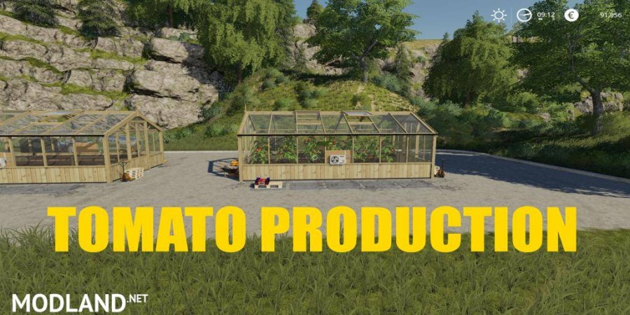 TOMATO PRODUCTION