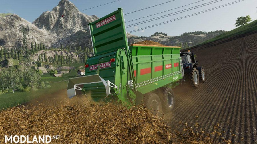 Bergmann TSW 6240W