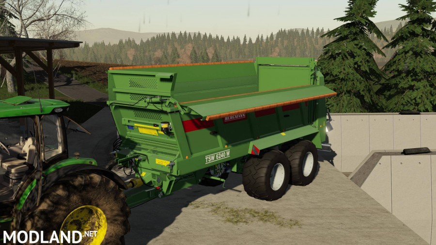 Bergmann TSW