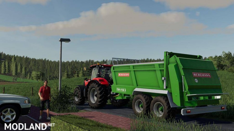 Bergmann TSW4190