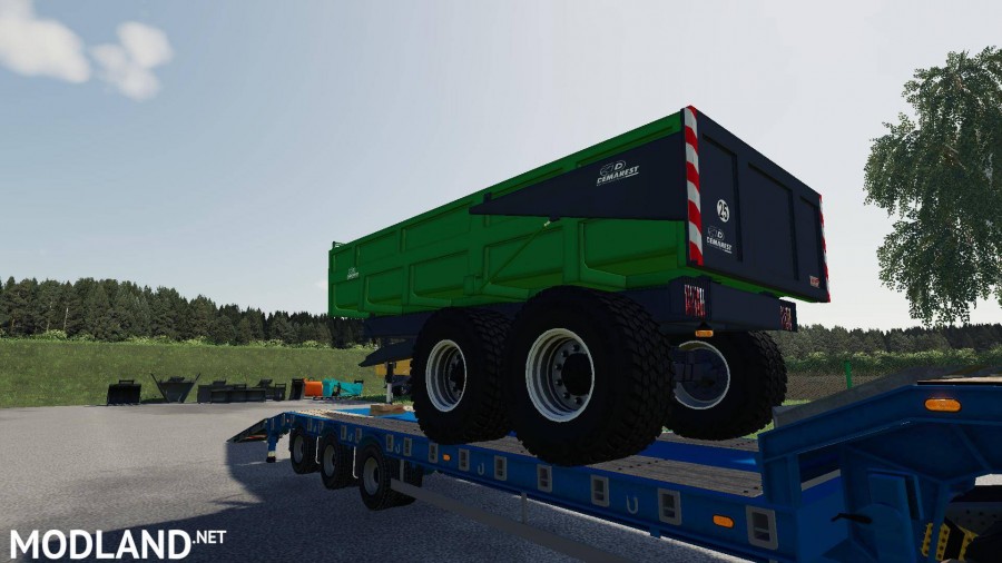 Demarest tp 19t