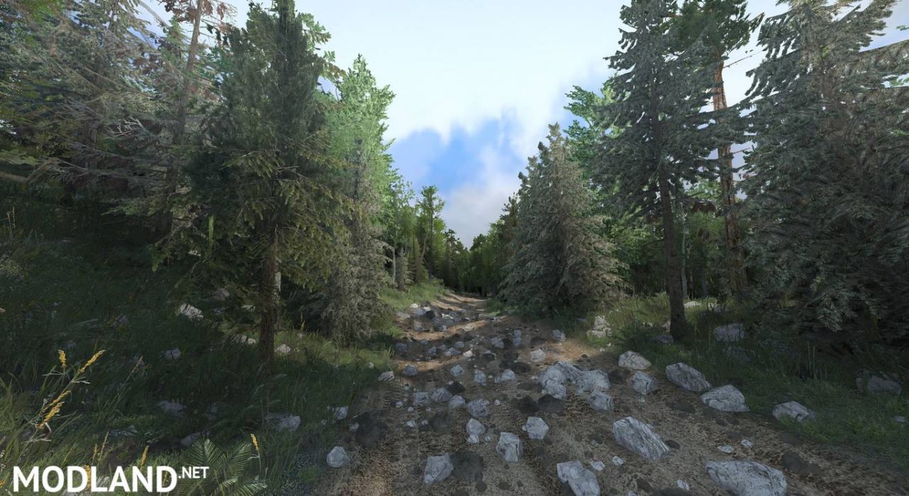 The Forgotten Hills