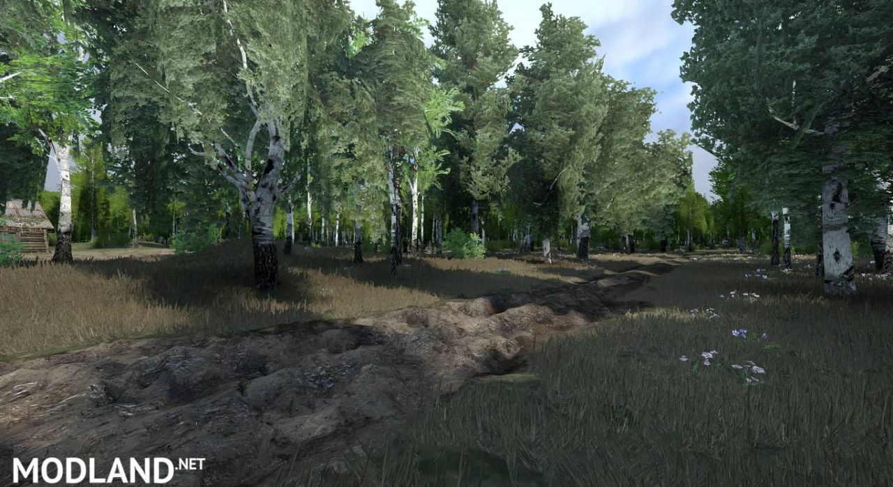 Map "Forest"