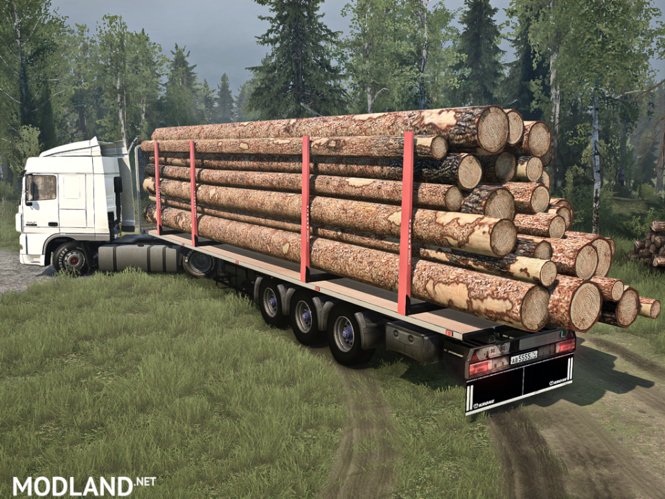 DAF XF 105.460 version 08.01.18 for