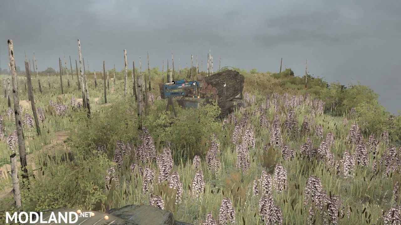 Map «Testing» - SPINTIRES: MUDRUNNER